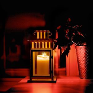 Meet your Posher, Tia